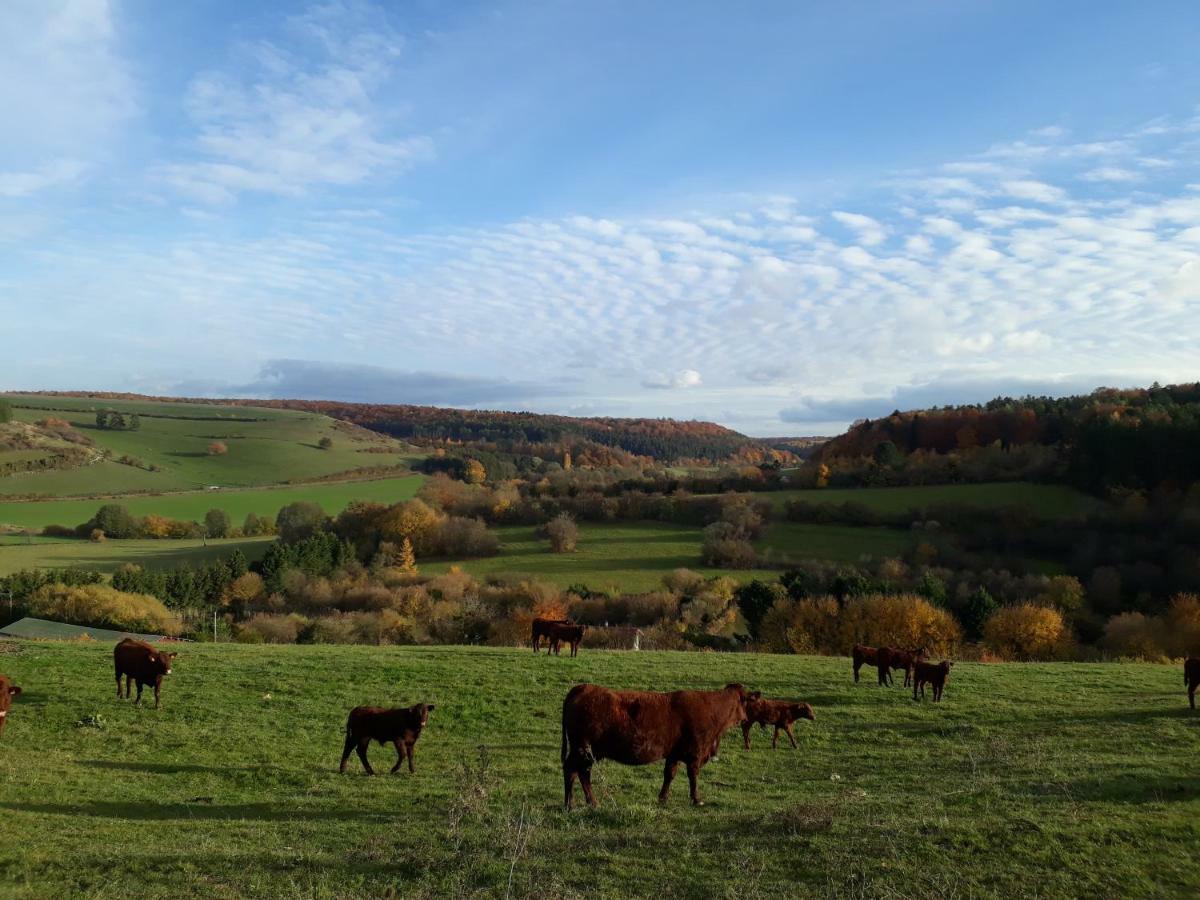 Gite Aux Lauriers Lacroix-sur-Meuse Exterior foto